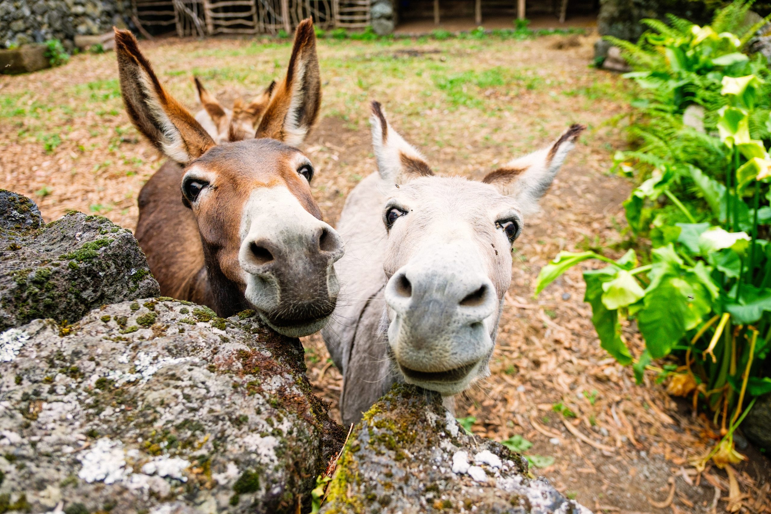 05JUL2020-61647-Exposure05JUL2020-61647