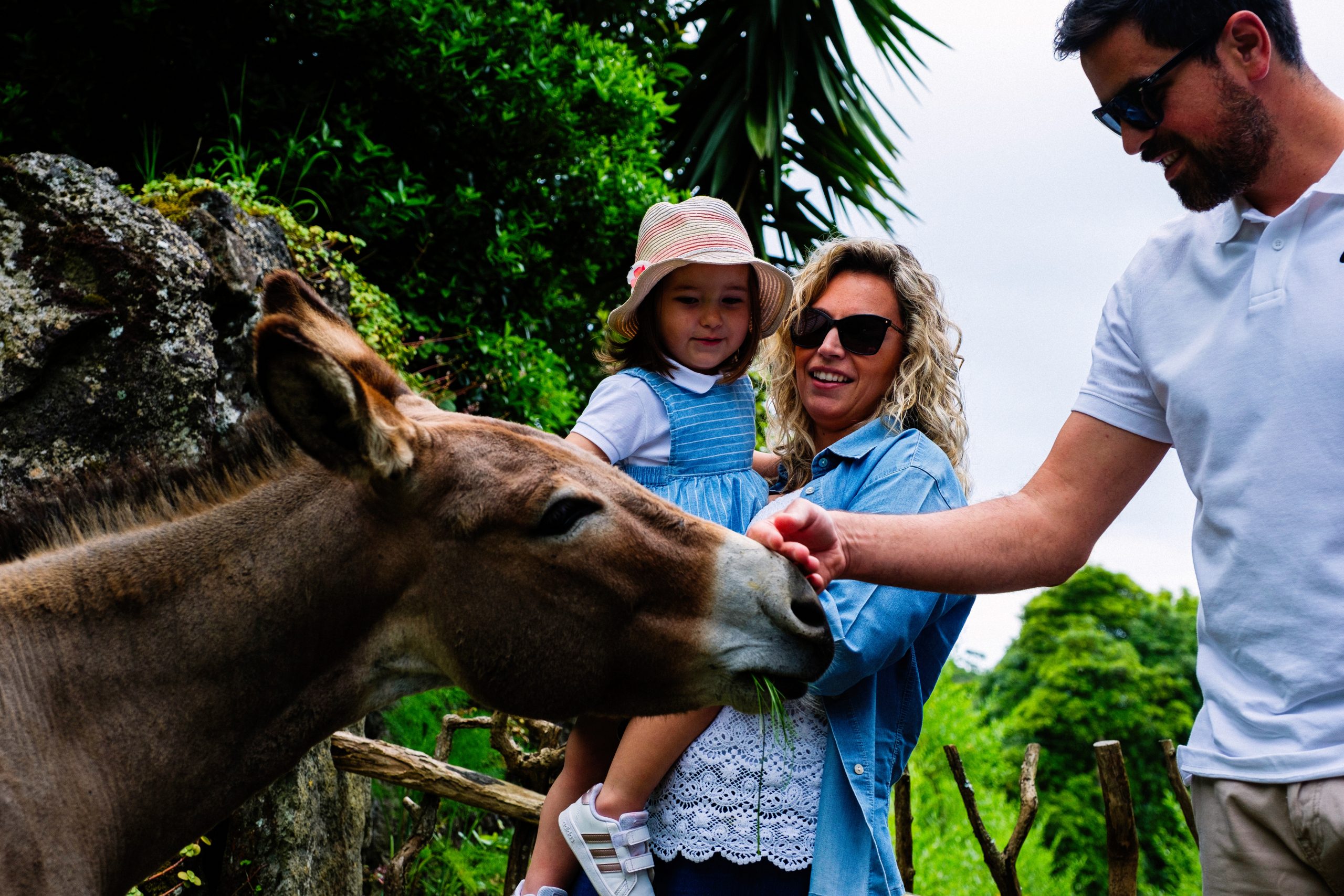 07JUN2020-50576-Exposure07JUN2020-50576