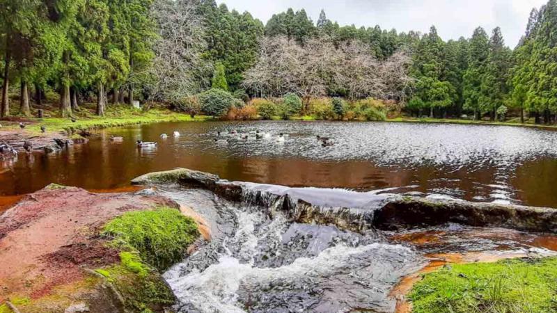 Ilha-Terceira-Acores-3-3-1024x768